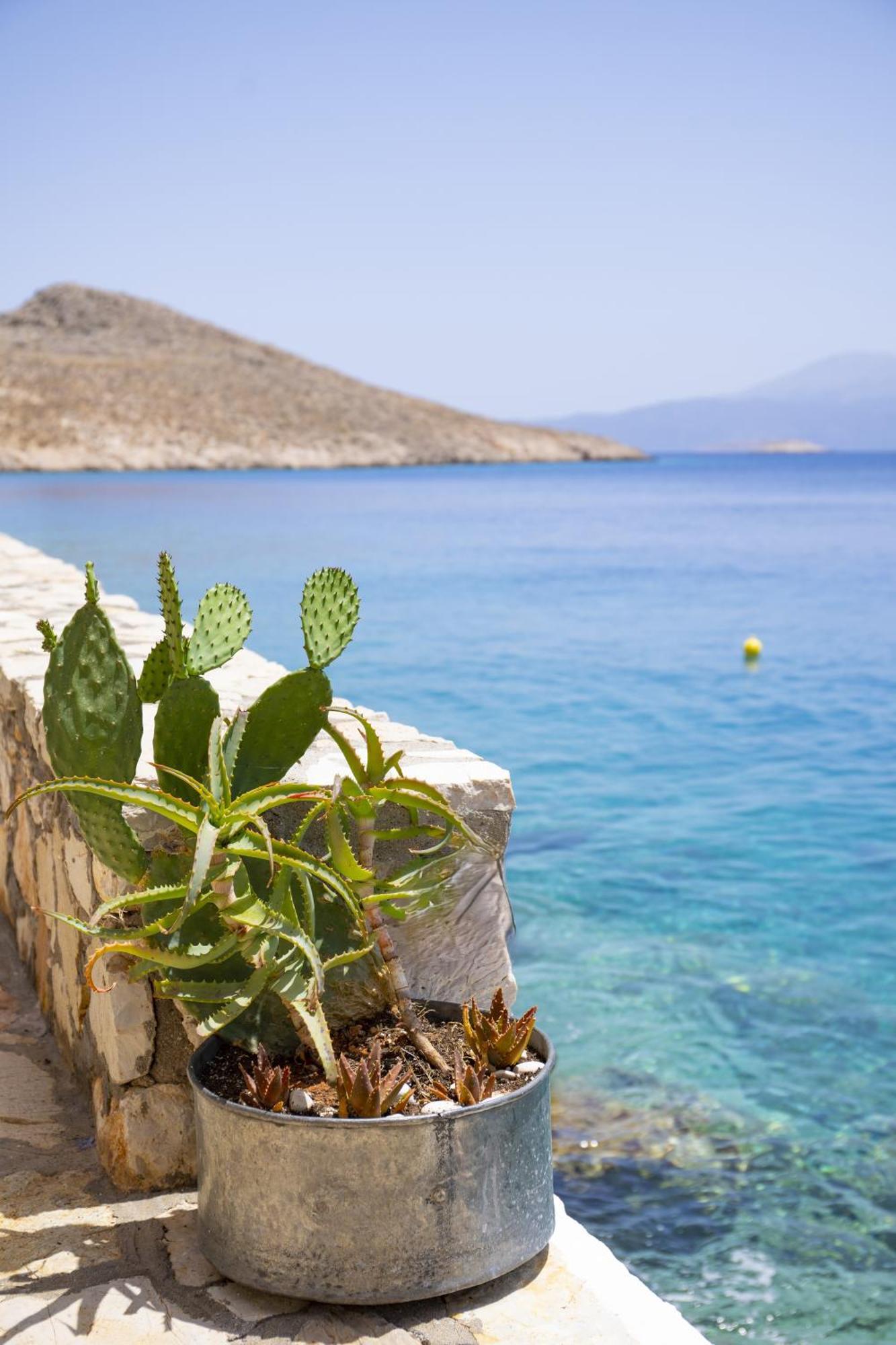 Villa Electra Chalki Town 외부 사진